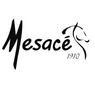 Mesace saddles
