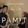 Download Lagu Pamit - Tulus (Feby Putri ft. Desmond Amos) MP3