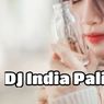 Download Dj India Tik Tok Mp3