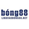 linkvaobong88net