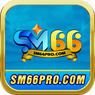 Sm66 Pro