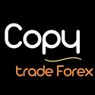 Blog Copy trade forex