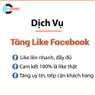 dichvutanglikefacebooklimoseo