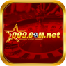 009comnet