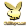 Callboyvn com