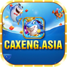 CAXENG