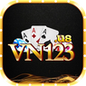 Vn123