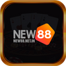 new88netin