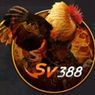 sv388page