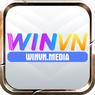 winvnmedia