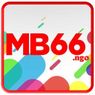 MB66