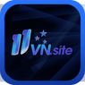 11vnsite