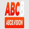 abc8 vision