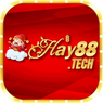 HAY88