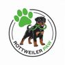 Rottweiler Paw